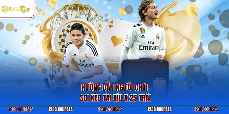 Hướng dẫn người chơi soi kèo tài xỉu X.25 trái