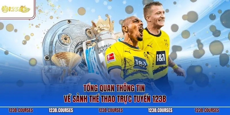 Tổng quan thông tin về sảnh thể thao trực tuyến 123B